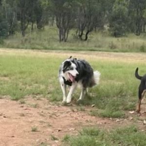 Meet your Posher, Tara